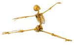 Bone Health