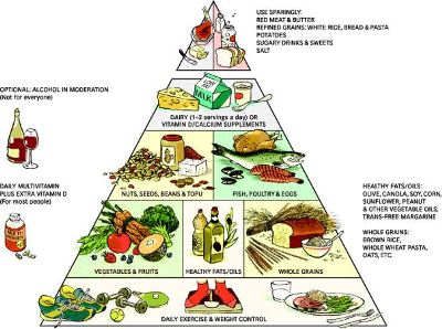 harvard-food-pyramid